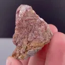 specimen video