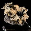 Rutile - Hematite - image 2