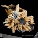 Rutile - Hematite - image 1