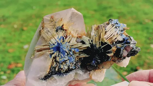 specimen video