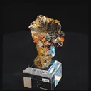 specimen video