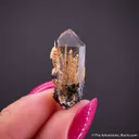 Rutile in Quartz, on Hematite - image 3