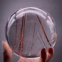 Rutile inclusions in Quartz - image 1