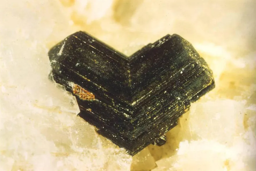 Rutile macle, Trimouns, Luzenac, Ariège, France image