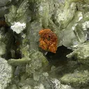 Rutile, Muscovite - image 2