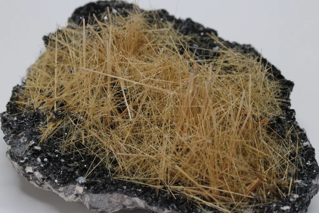 Rutile needles on matrix image