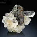 Rutile on Apatite with Feldspar and Hematite spray from Skardu Pakistan - image 3