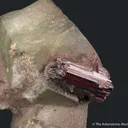 Rutile on Feldspar var. Adularia - image 2