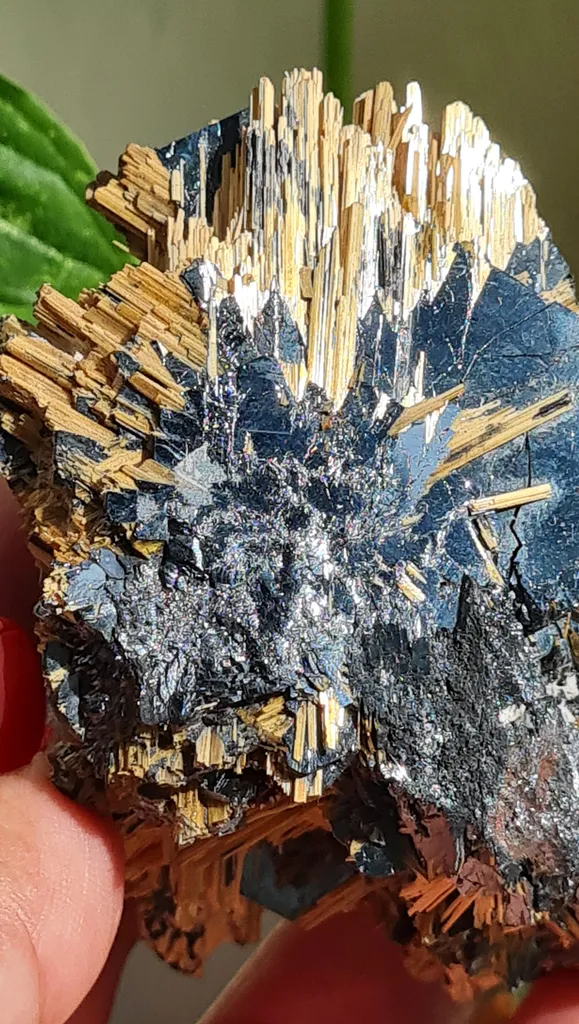 Rutile on Hematite from Novo Horizonte, Bahia, Brasil. Golden Rutile needles on metallic Hematite. Reflective and shiny - image 2