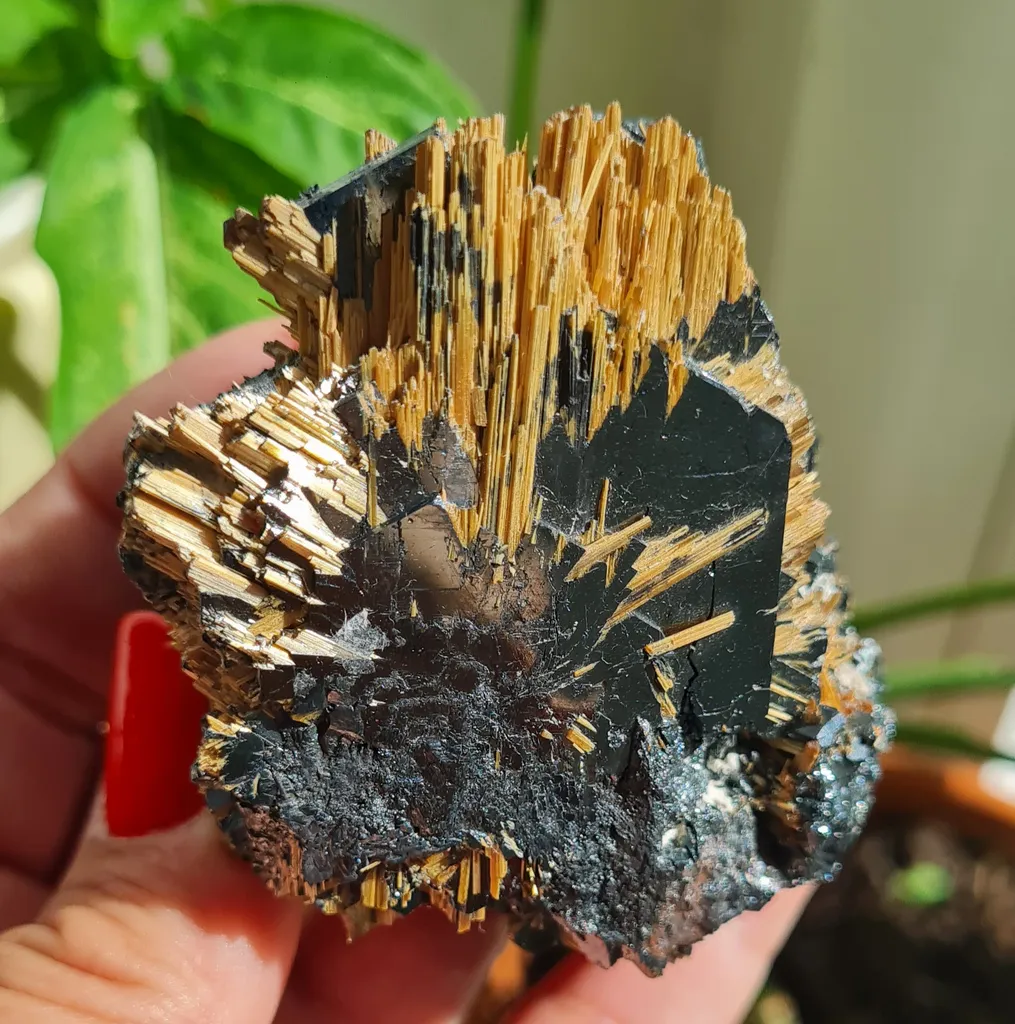 Rutile on Hematite from Novo Horizonte, Bahia, Brasil. Golden Rutile needles on metallic Hematite. Reflective and shiny - image 5