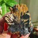 Rutile on Hematite from Novo Horizonte, Bahia, Brasil. Golden Rutile needles on metallic Hematite. Reflective and shiny - image 5