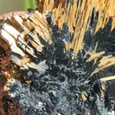 Rutile on Hematite from Novo Horizonte, Bahia, Brasil. Golden Rutile needles on metallic Hematite. Reflective and shiny - image 4