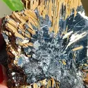 Rutile on Hematite from Novo Horizonte, Bahia, Brasil. Golden Rutile needles on metallic Hematite. Reflective and shiny - image 1