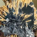 Rutile on Hematite from Novo Horizonte, Bahia, Brasil. Golden Rutile needles on metallic Hematite. Reflective and shiny - image 7