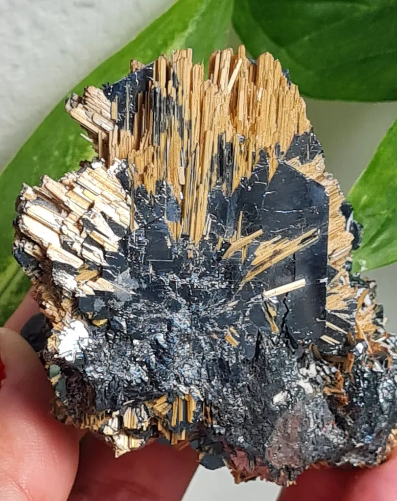 Rutile on Hematite from Novo Horizonte, Bahia, Brasil. Golden Rutile needles on metallic Hematite. Reflective and shiny - image 8