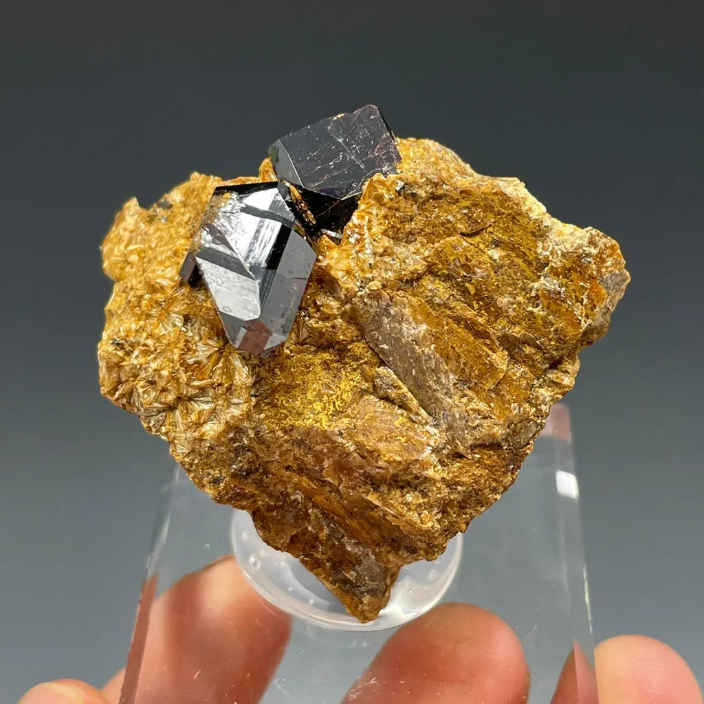 Rutile on Pyrophyllite image