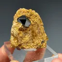 Rutile on Pyrophyllite - image 1