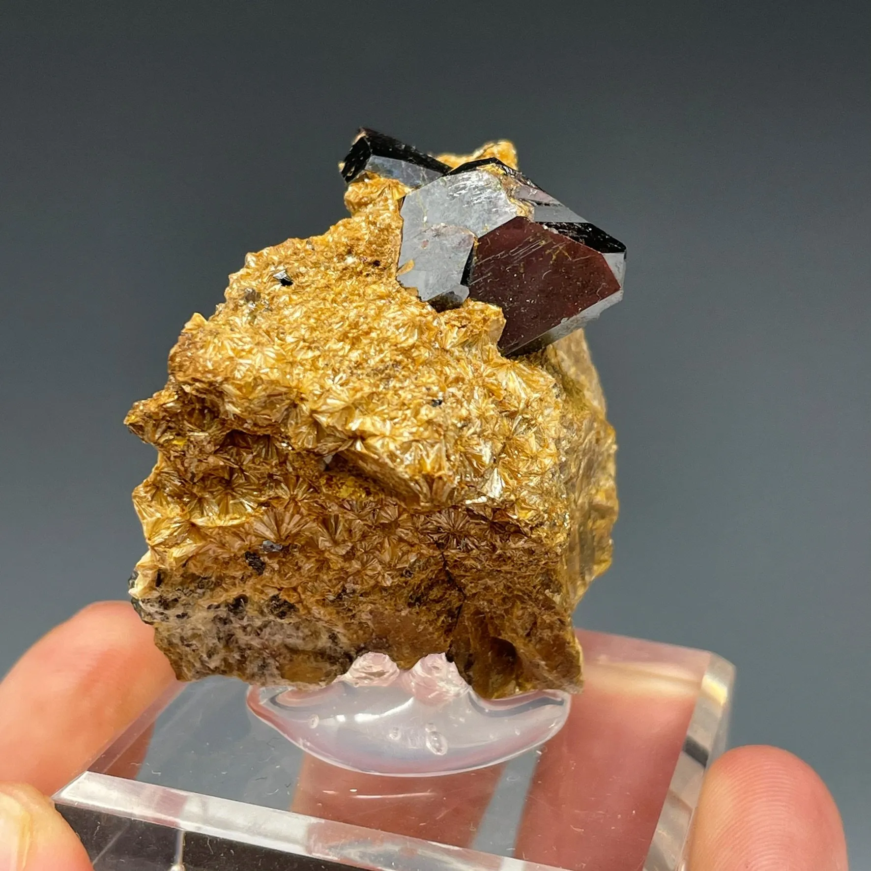 Rutile on Pyrophyllite - image 3