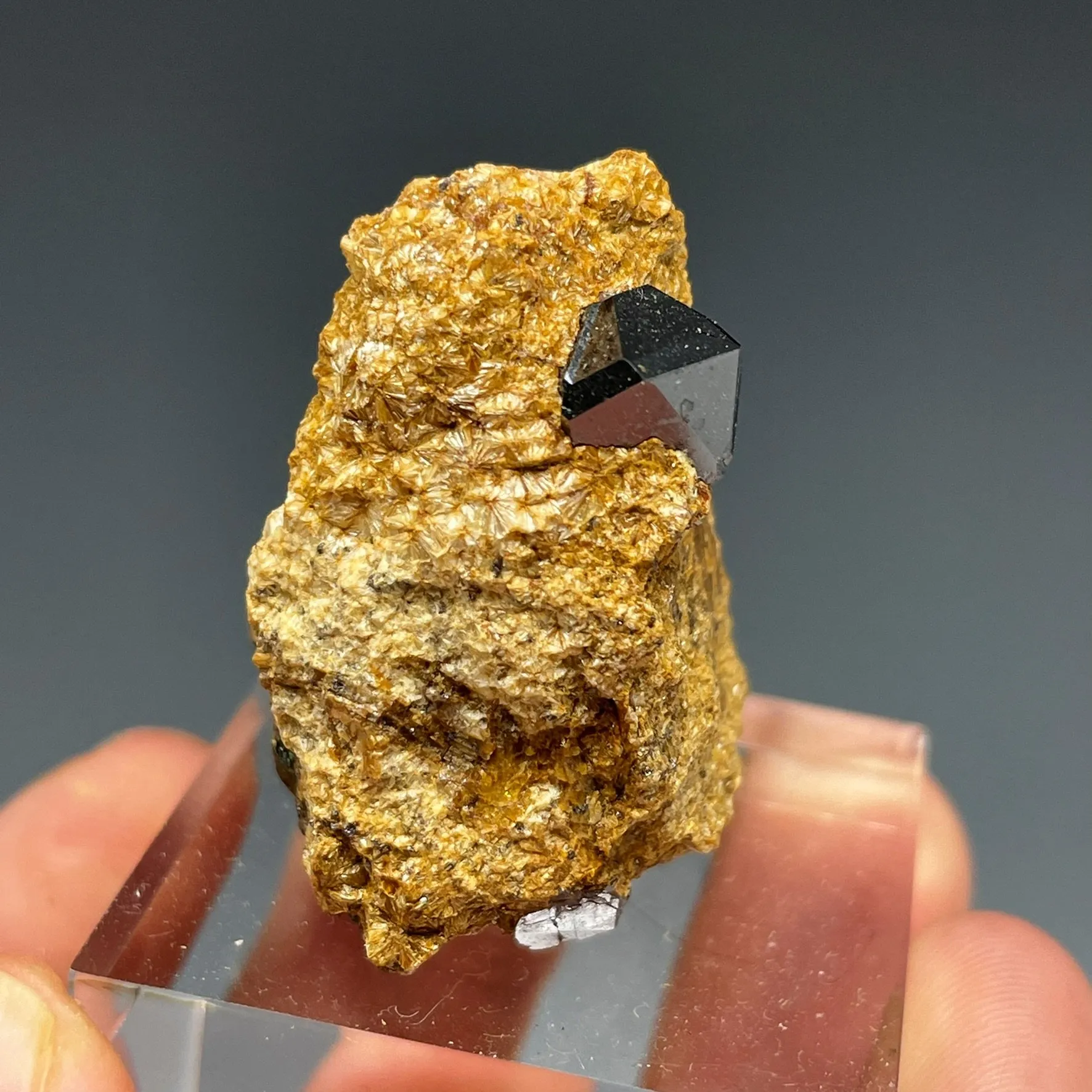 Rutile on Pyrophyllite - image 3