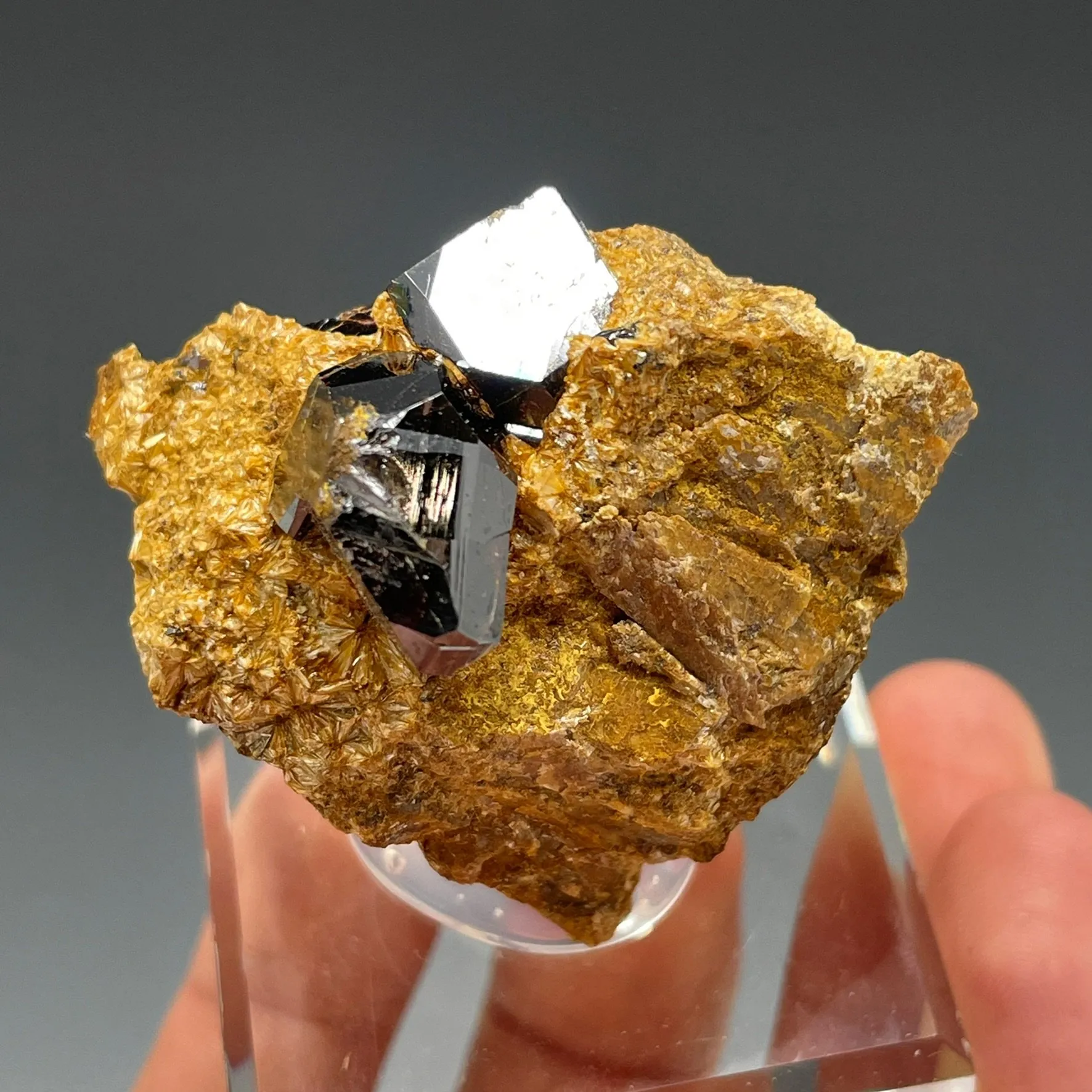 Rutile on Pyrophyllite - image 2