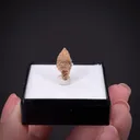 Rutile ps. Anatase - image 2