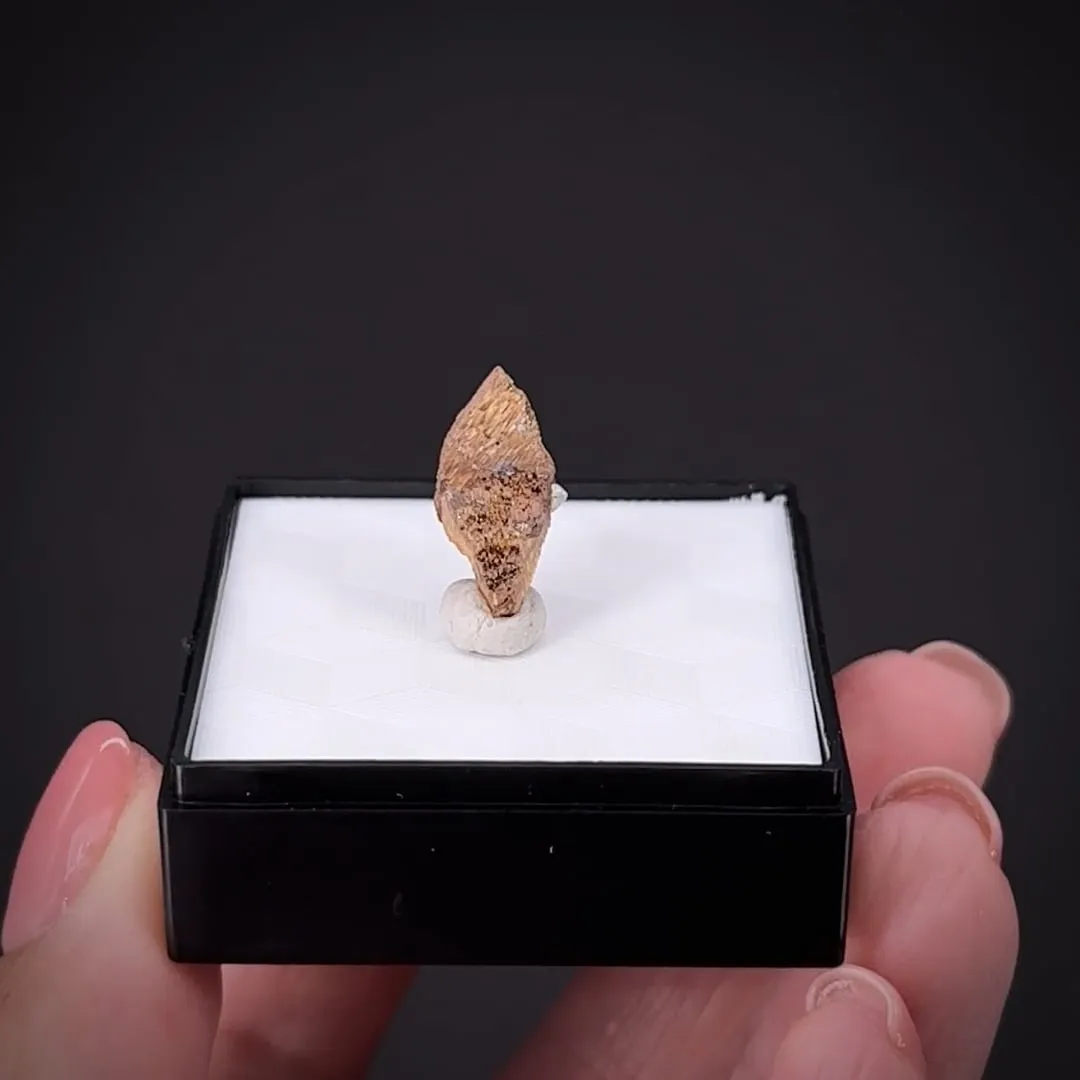 Rutile ps. Anatase - image 2