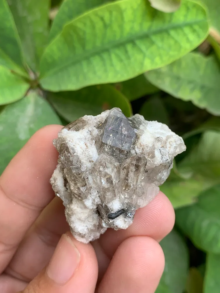 Rutile Quartz - image 8