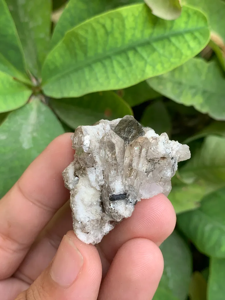 Rutile Quartz - image 6