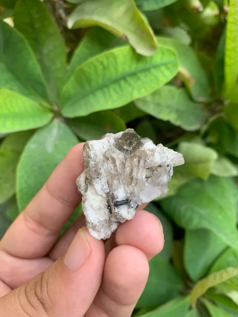 Rutile Quartz - image 3