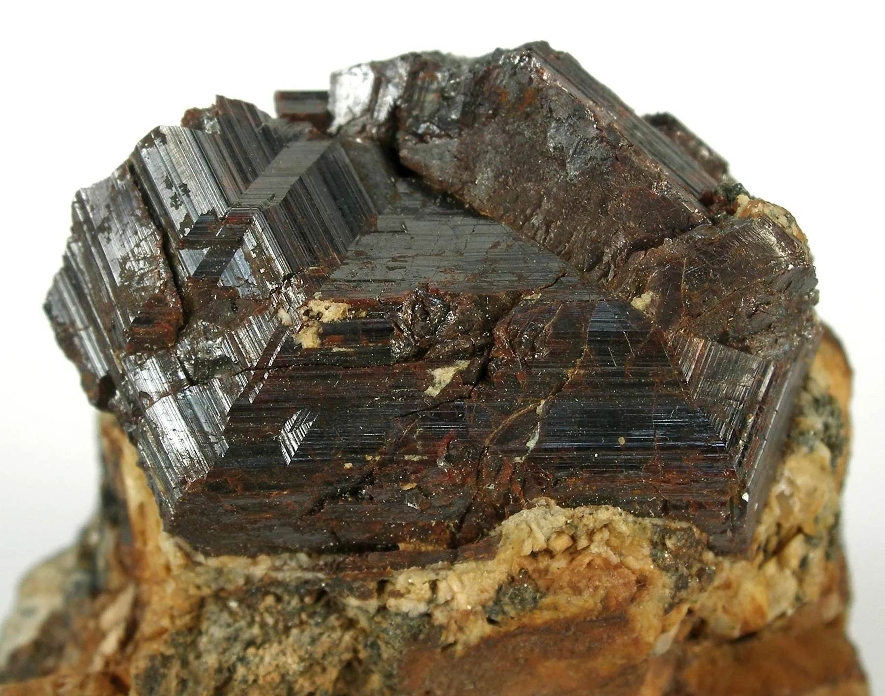 Rutile (Twinned) - image 2