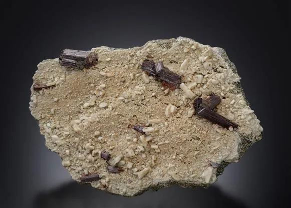 Rutile   var. Sagenite - image 1