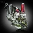 Rutile with Aegirine on Matrix from Pakistan - image 2