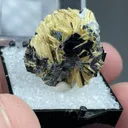 Rutile with Hematite - image 2