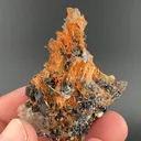 Rutile with Hematite - image 2