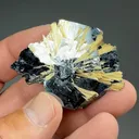 Rutile with Hematite - image 2