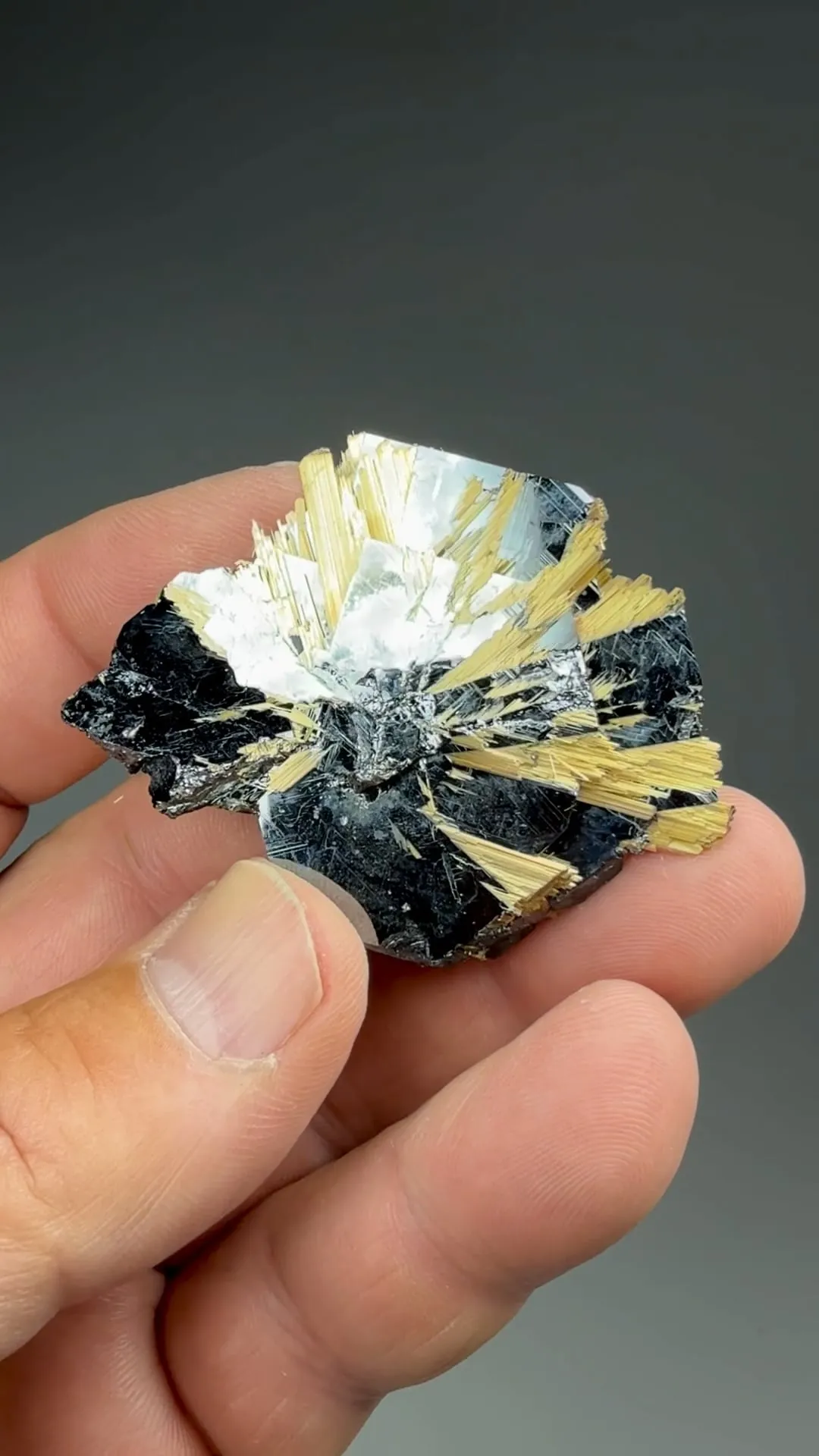 Rutile with Hematite - image 2