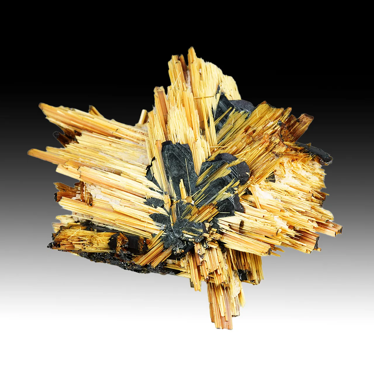 Rutile with Hematite - image 1