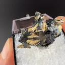 Rutile with Hematite - image 1