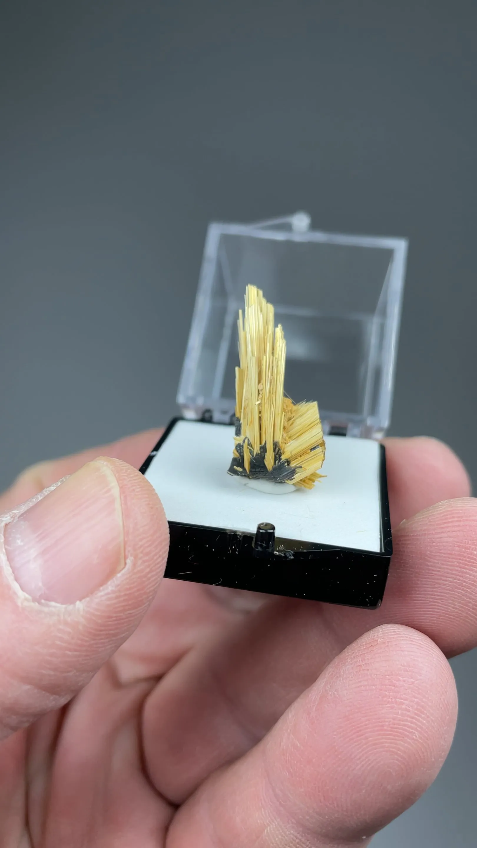 Rutile with Hematite - image 2