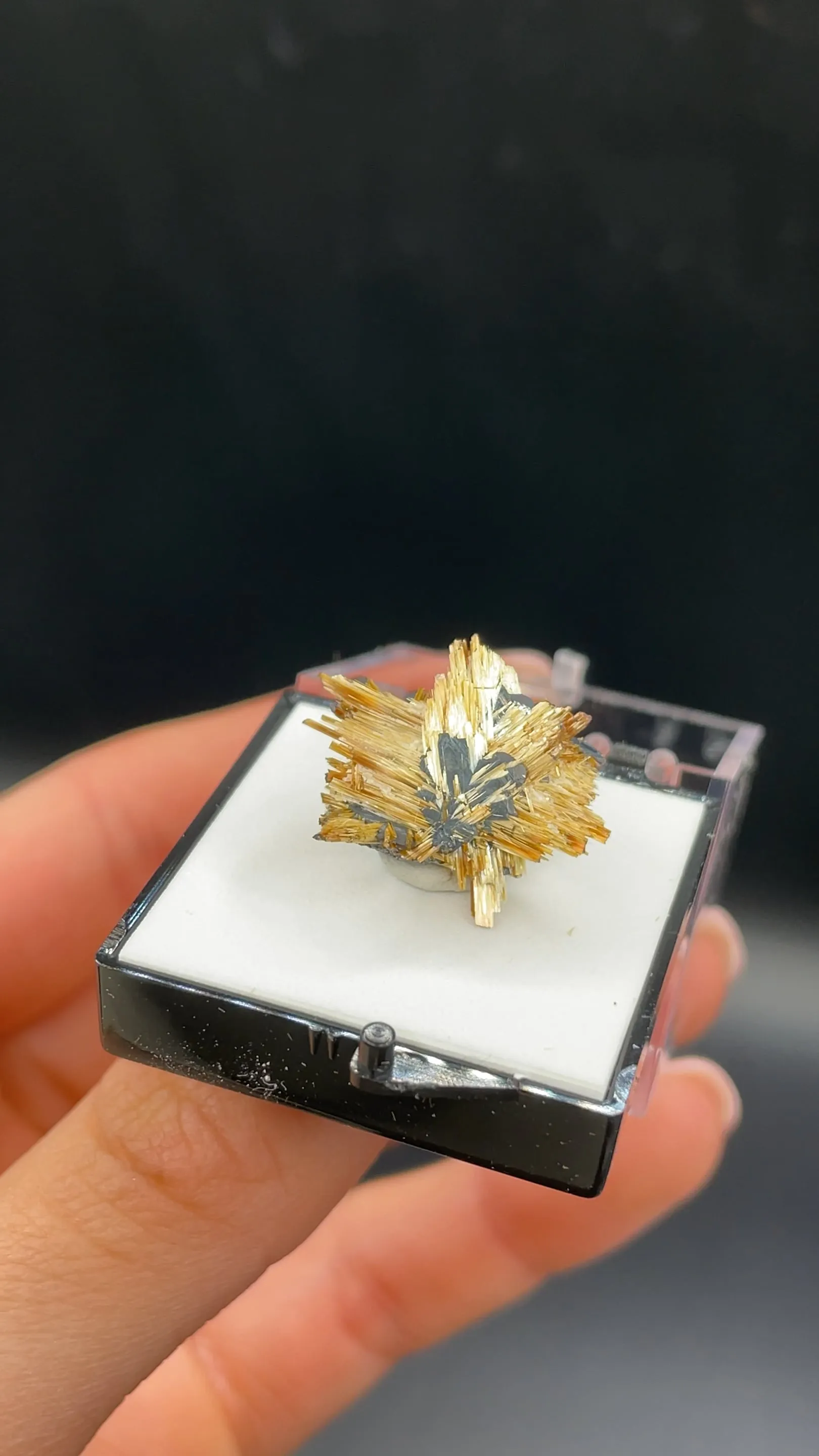 Rutile with Hematite - image 2