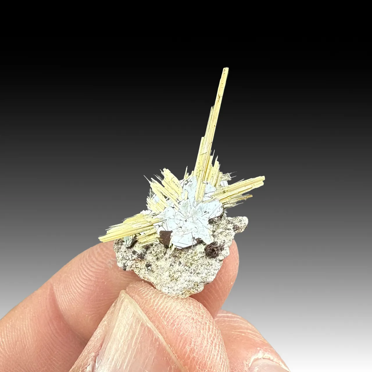 Rutile with Hematite - image 1