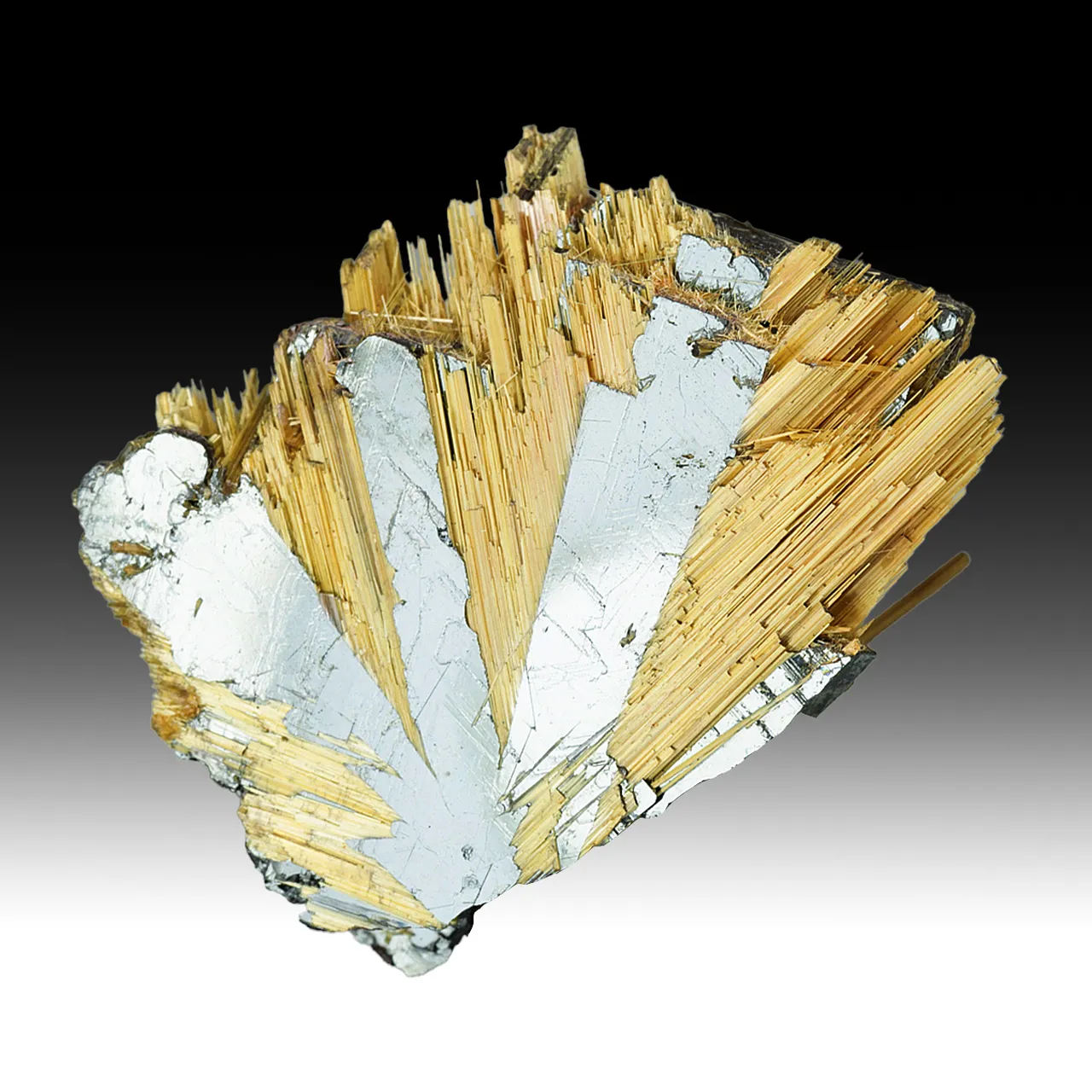 Rutile with Hematite - image 1