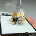 Rutile with Hematite - image 2