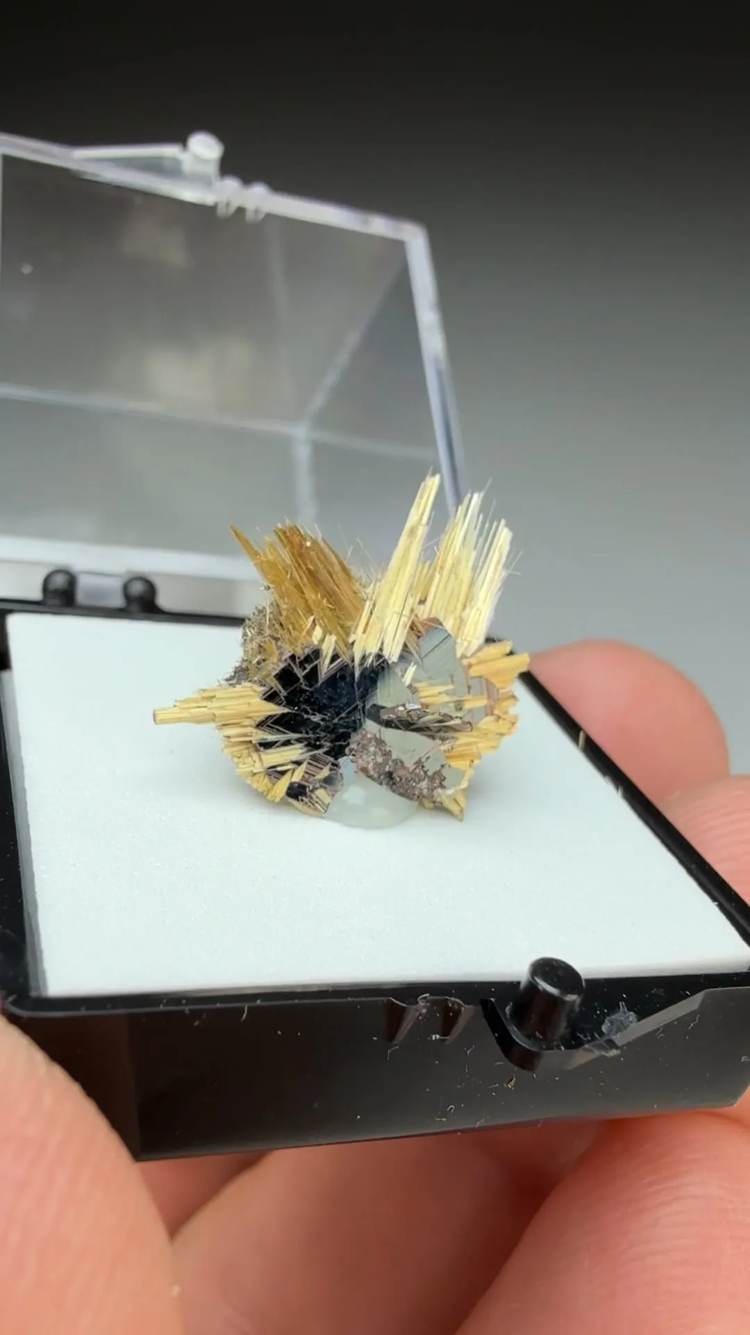 Rutile with Hematite - image 2