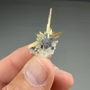 Rutile with Hematite - image 2