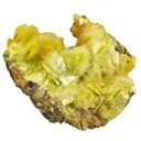 Sabugalite on Autunite - image 2