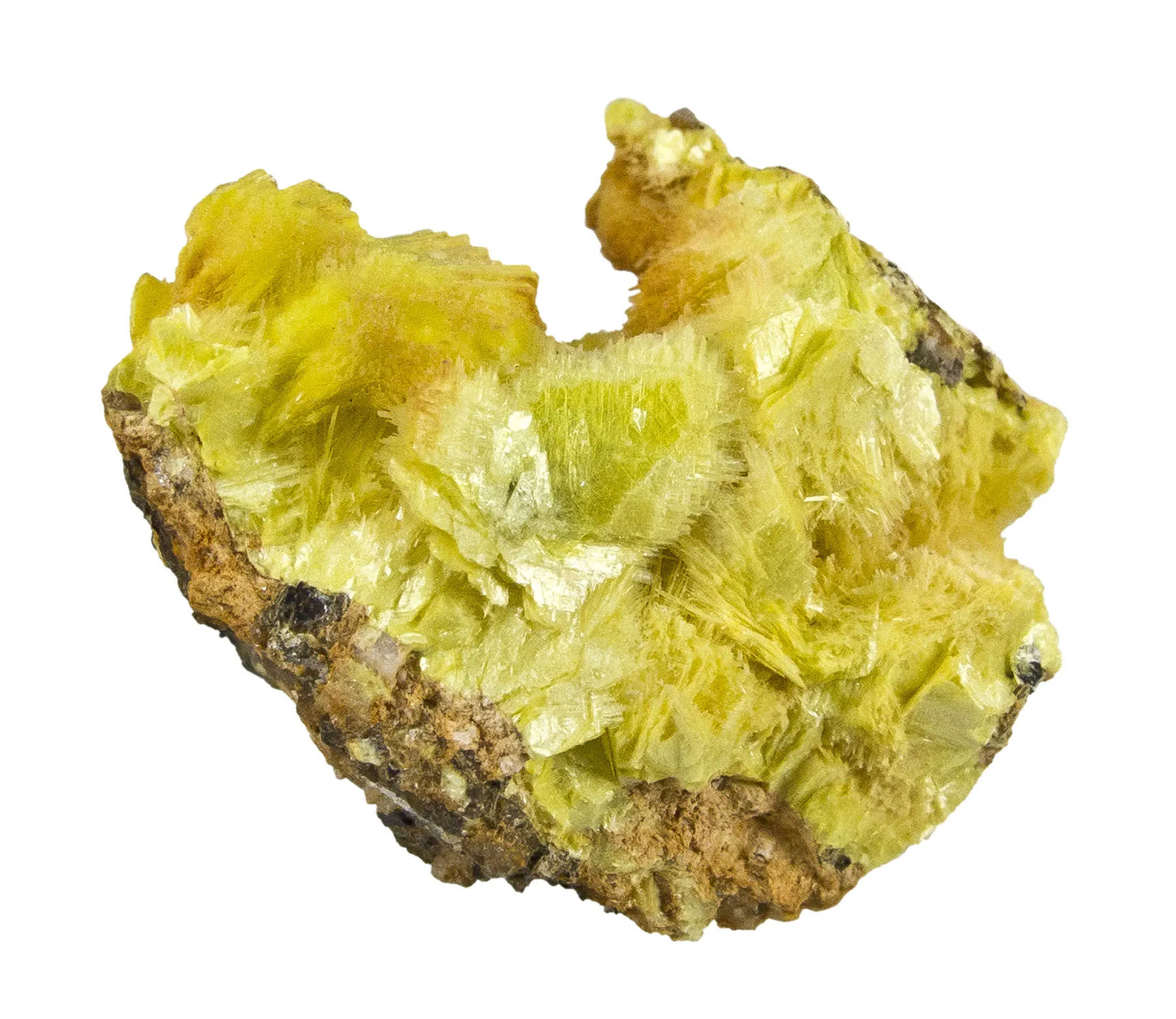 Sabugalite on Autunite - image 2