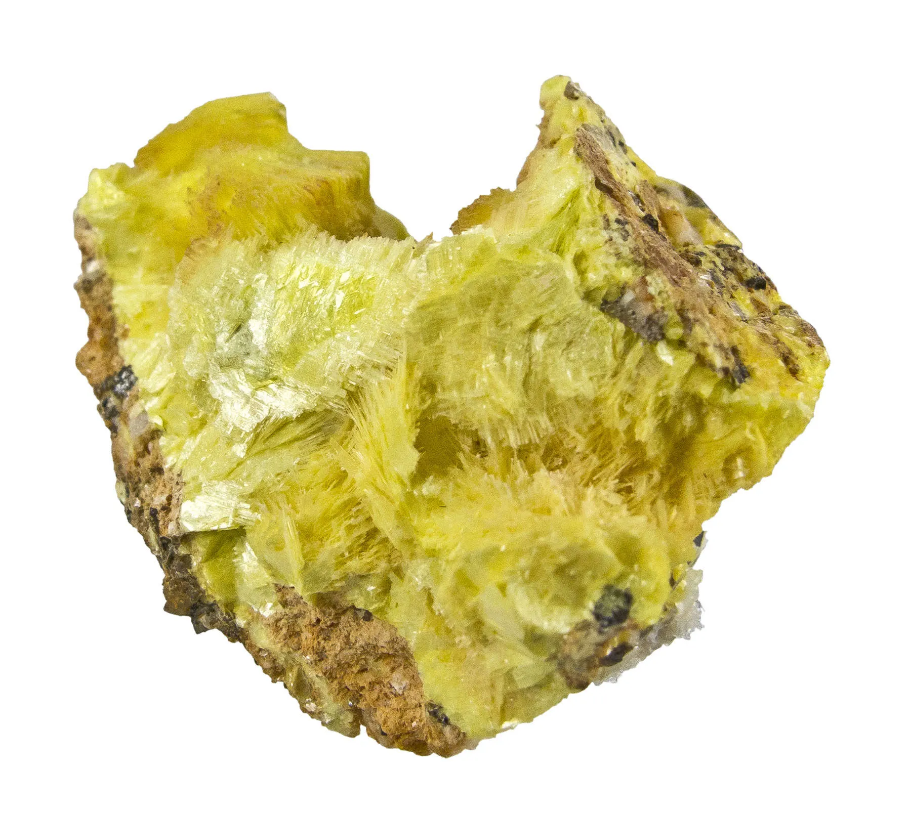 Sabugalite on Autunite - image 3