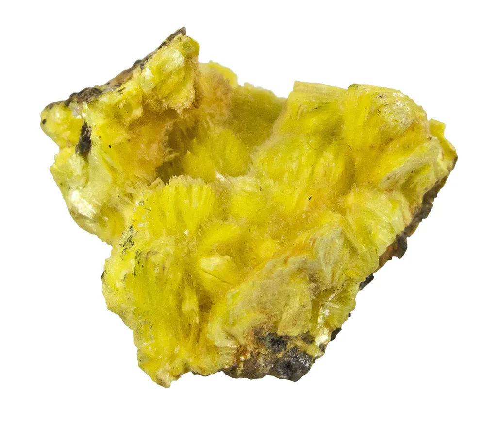 Sabugalite on Autunite image
