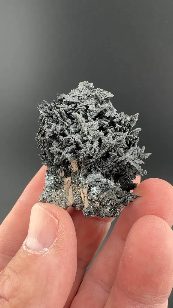 Safflorite on Silver with Skutterudite image